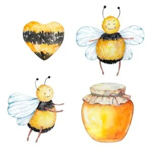 Bees with honey box